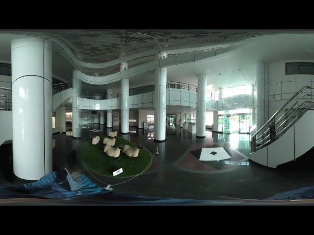 Introduce X Building
