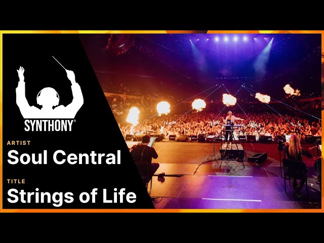 SYNTHONY - Soul Central 'Strings of Life' (Live at Mānuka Phuel SYNTHONY ORIGINS 2025)