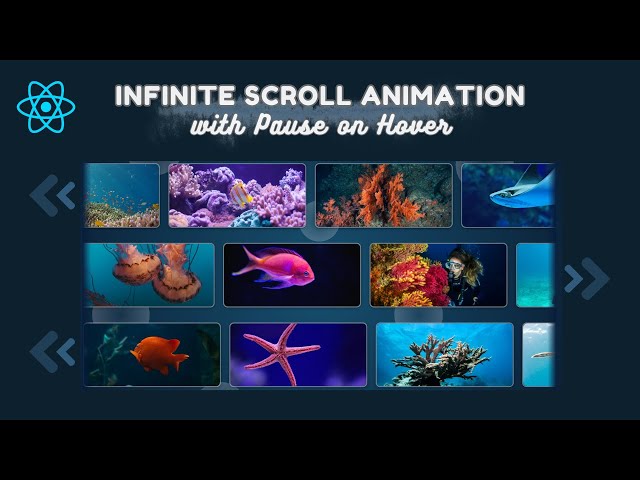 Infinite Horizontal Scroll Animation in React JS | Marquee Effect with Pause on Hover #reactjs