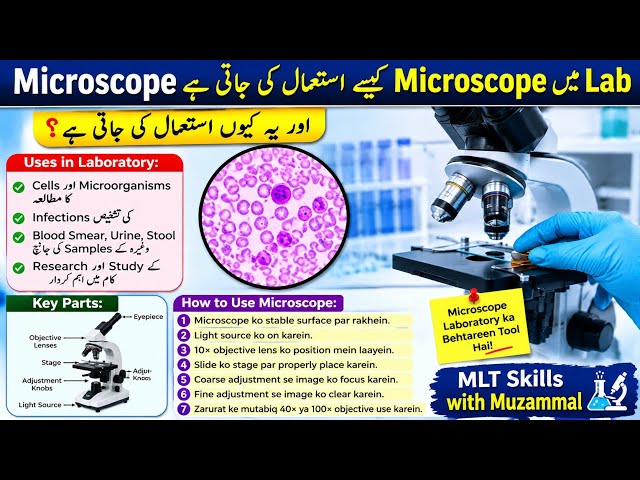 🔬 How to Use a Microscope in Laboratory | Microscope Complete Procedure | MLT Skills with Muzammal