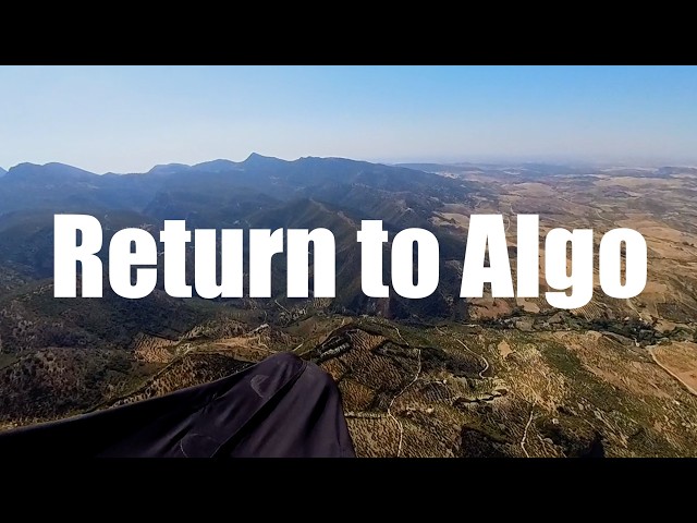 The Return to Algo