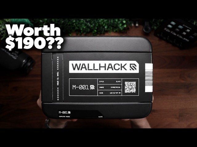 I tried the WALLHACK MOUSE