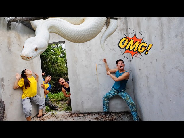 Brave Expert Use High-Tech Snake Detectors to Find Two Giant Mutant Pythons