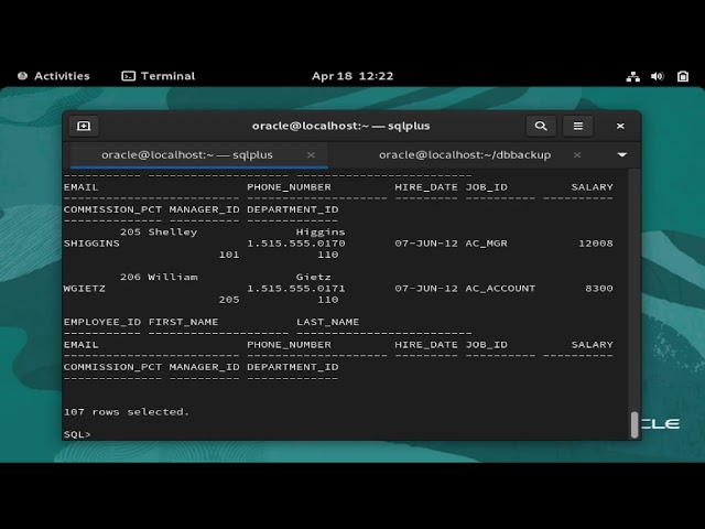 How to Take Table Backup in Oracle using EXPDP & Restore using IMPDP  Full Guide