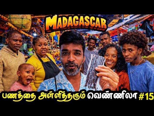 💵பத்துமடங்கு லாபம் தரும் Vanilla Business🤷| 🇲🇬Madagascar Ep15