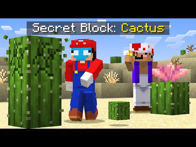 Get Your Secret Block, You Win in Minecraft...