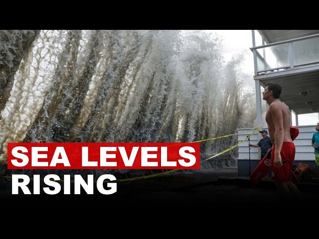 California Coastal Residents Face Rising Sea Levels As Kelvin Wave Strikes