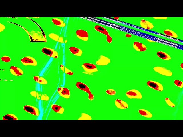 Movie 25 12 06 00h18m15s