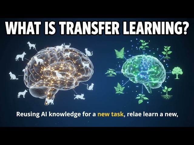 What Is Transfer Learning? 🤖 Explained in 10 Seconds | How AI Reuses Learned Knowledge