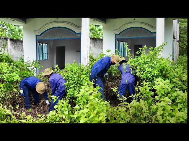 48-HOUR MIRACLE! Two Abandoned Houses Brought Back to Life