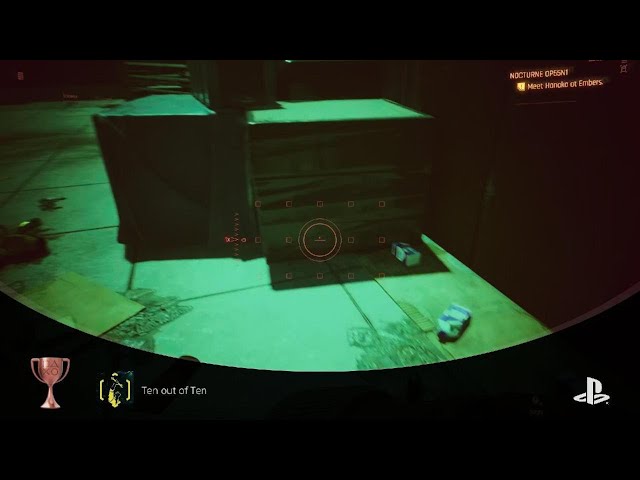 Ten out of Ten Trophy, Cyberpunk 2077