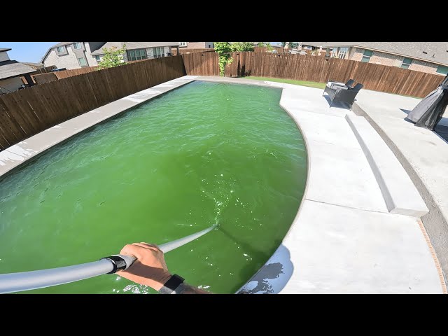Customers Pool Company Stopped Showing Up! Swamp to Crystal Clear Water