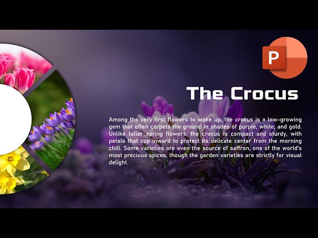 PowerPoint Morph Transition Tutorial: Creative Circular Design