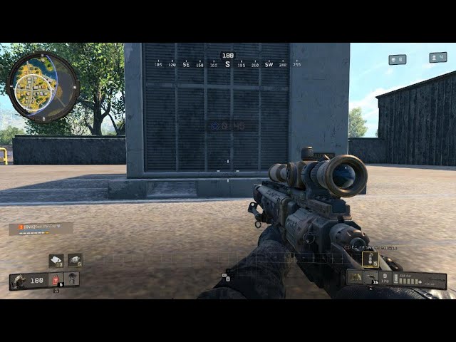 COD4 Customs