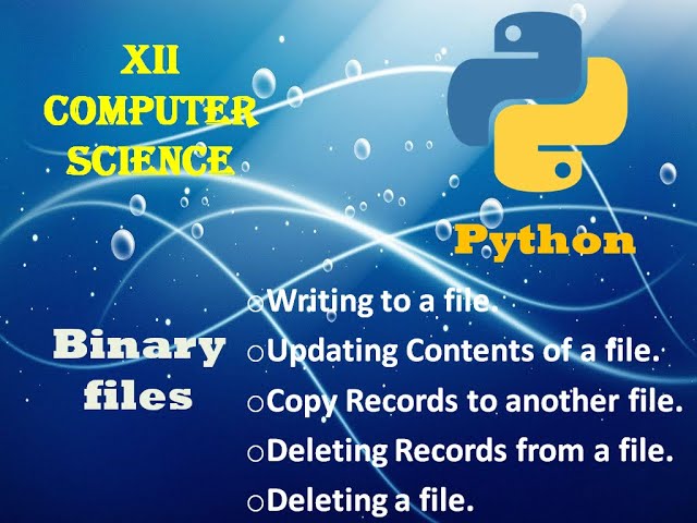 Binary File update delete search