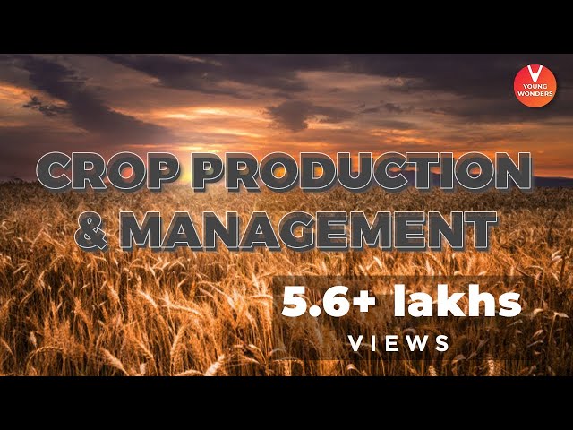 Crop Production and Management | Class 8 Science | Vedantu Junior