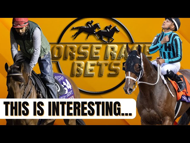 Turfway Parks OPENING DAY Picks ... | Daily Horse Race Bets