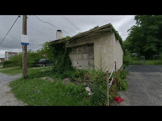 Some sample VR180 photos with the Insta360 EVO