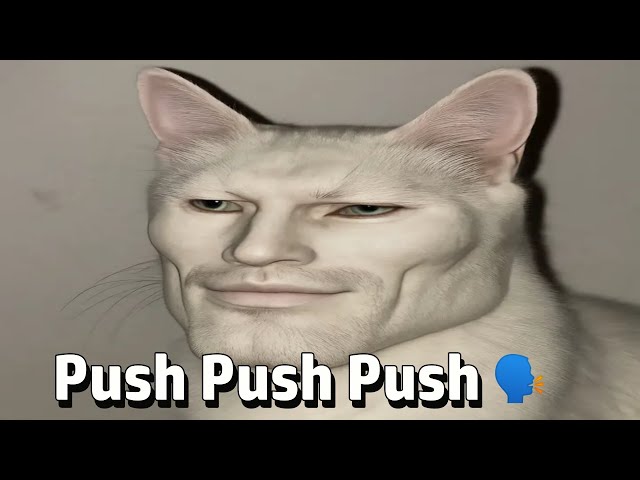 Shitposting Compilation V40