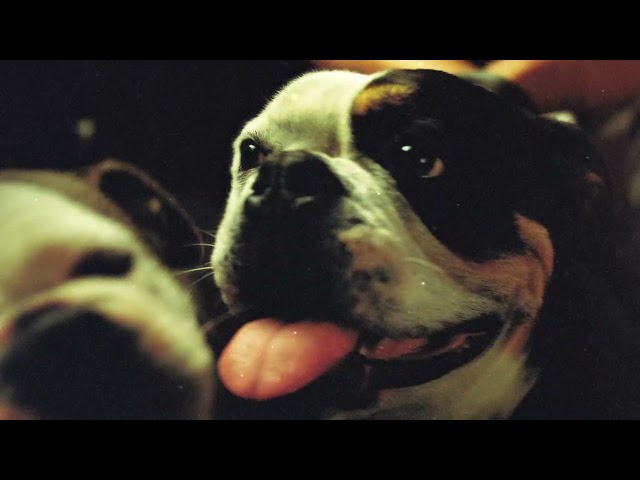 Kenny Mason - FIND GOD (feat. Dominic Fike) [Official Visualizer]