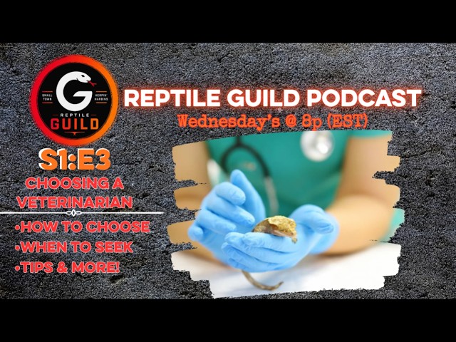 Emergency or Not? Knowing When Your Reptile Needs a Vet | Reptile Guild Podcast