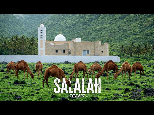 The Peaceful Life of Salalah, Oman – A Tropical Gem in Arabia
