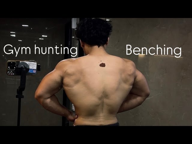 Gym hunting and bench       