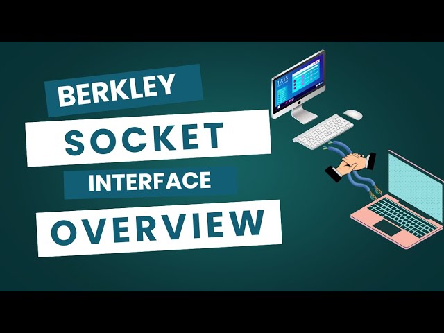 Berkeley Socket Interface Explained | Networking with Sockets 101 ✨ | SamCodeTutorials