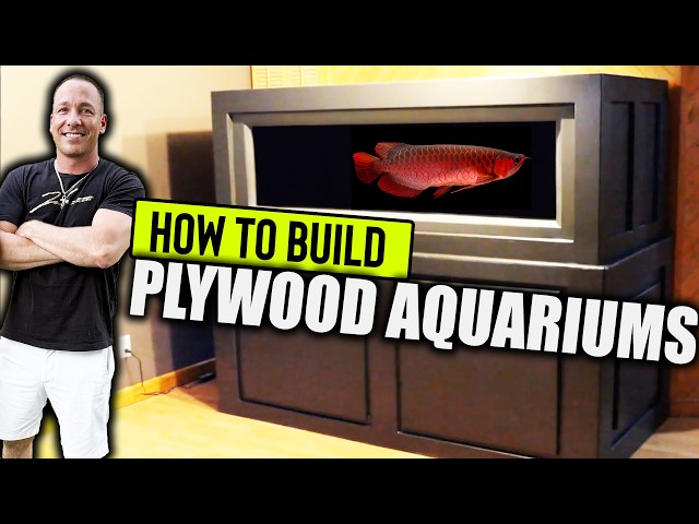 HOW TO build a plywood aquarium  - The king of DIY super edit