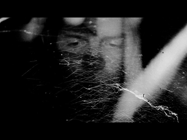 TIGERCUB - A BLACK MOON (Official Music Video)