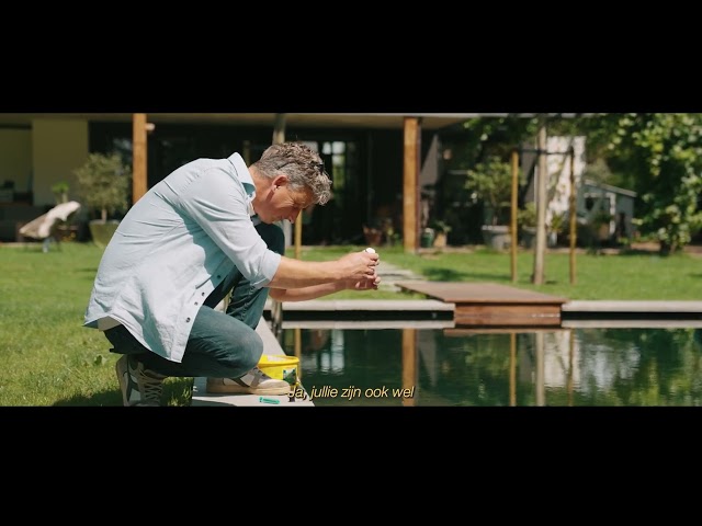 Vos Zwemvijvers   Verschillende tevreden klanten vertellen over hun zwemvijver.