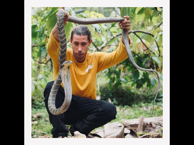 THE KING COBRA EXPEDITION EP:2