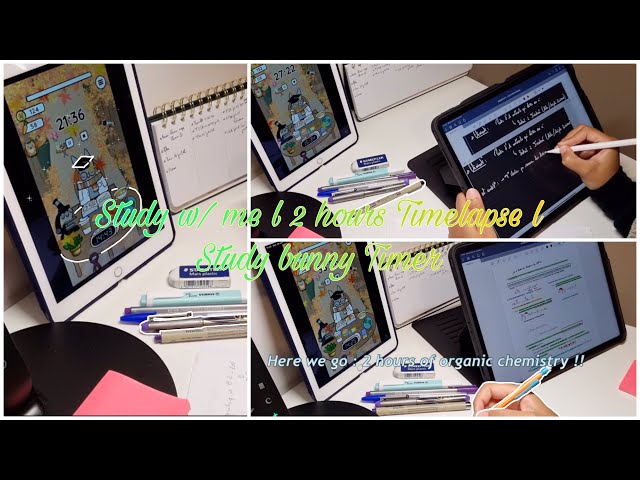 Before Exam | Study w/ me | 2 hours Timelapse | Study bunny Timer | no music