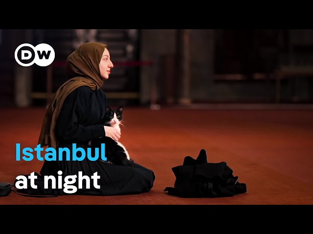Istanbul - A journey through the megacity | DW Documentary