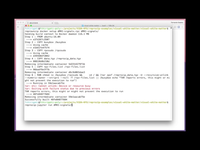 "Brain Segmentation" BONUS 1: reprounzip-jupyter setup & run