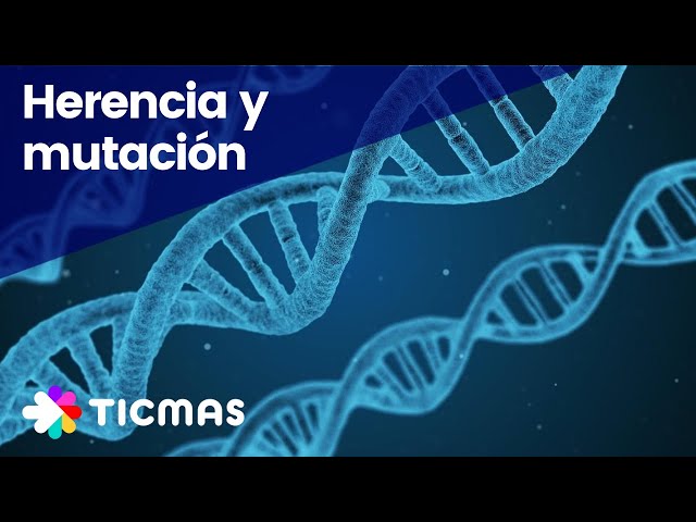 El ADN, explicación fácil