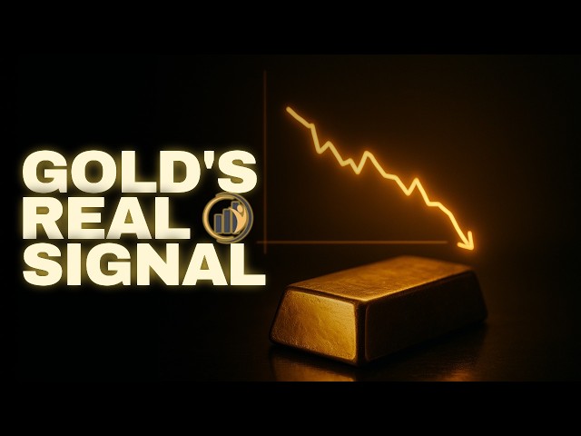 The Hidden Link Between 10‑Year Treasury and Gold – Proof Inside