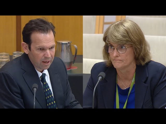 ‘I am not gaslighting you’: RBA boss erupts in fiery clash with Senator Canavan