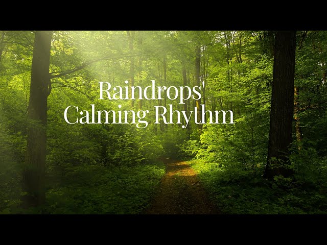 Rain Drops for Relaxation, Meditation and Reduces Anxiety.