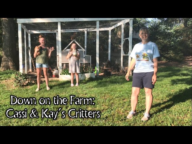 Down on the Farm: Cassi & Kay's Critters