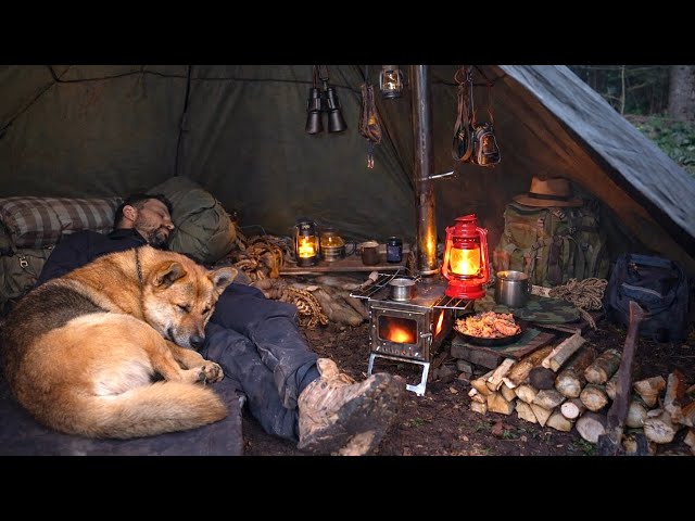 Cozy Hot Tent Camping with My Dog | Relaxing Nature Sounds