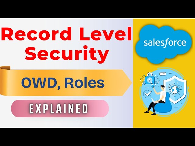Record Level Security in Salesforce | Organization-Wide Default (OWD) & Roles Explained