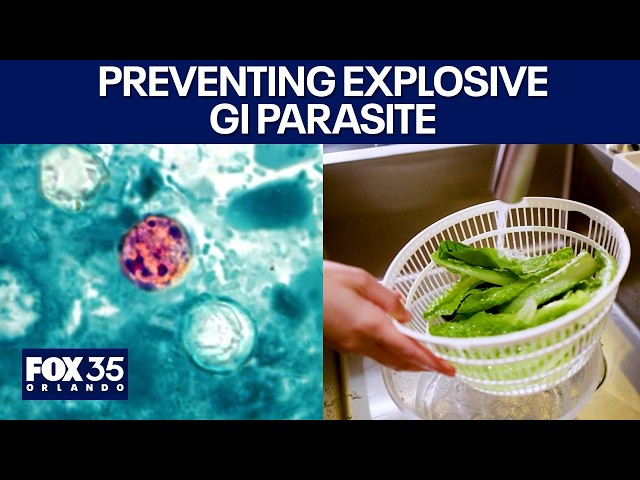 Cyclosporiasis: How to prevent the produce parasite