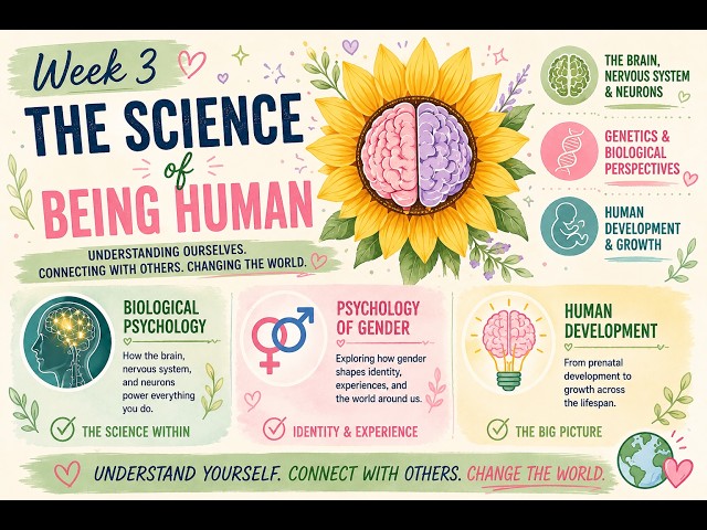 Your Brain, Your Body, Your Behavior 🧠 | Biological Psychology — Week 3