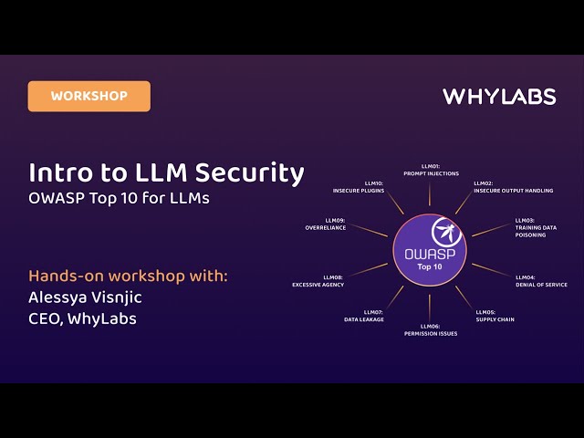 Intro to LLM Security - OWASP Top 10 for Large Language Models (LLMs)