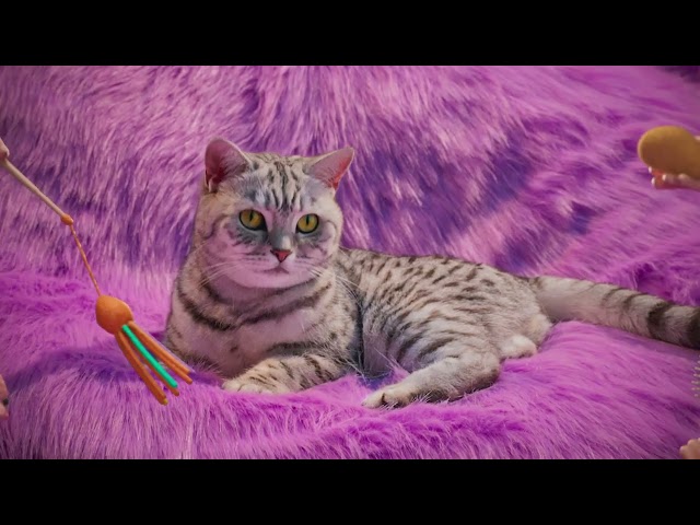 Whiskas - Descubre el ronroneo de tu gato con el nuevo Whiskas