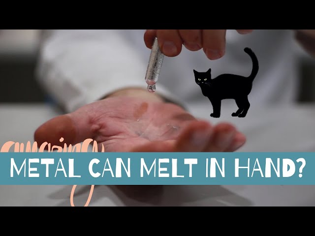 GALLIUM MELTING - Gallium Is A Metal That Melts In Your Hands