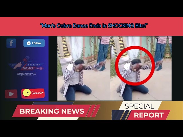 Man’s Cobra Dance Ends in SHOCKING Bite!