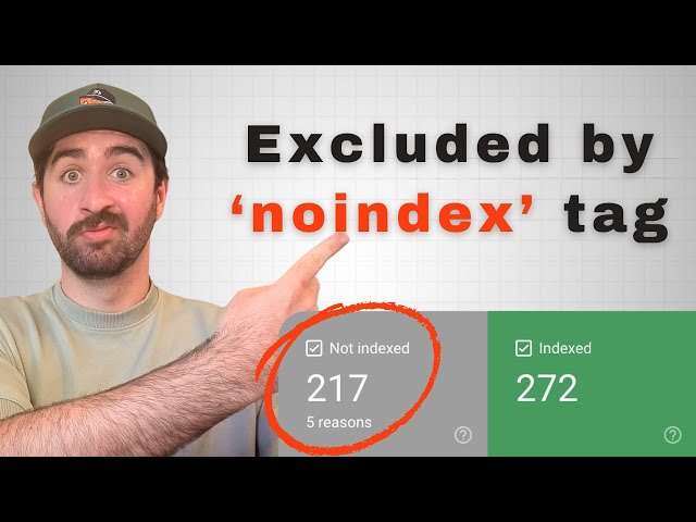 FIX: Excluded by 'noindex' tag in Google Search Console