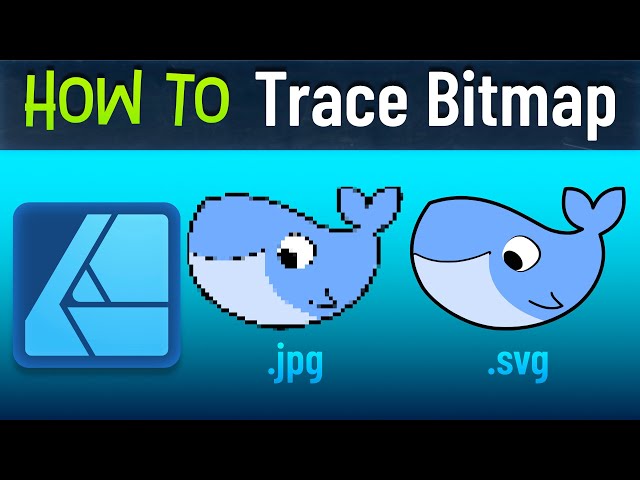 Affinity Designer How to Trace an Image Into a Vector SVG